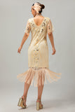 Champagne Appliques Fringe 1920-tals klänning med 5-delat tillbehörsset
